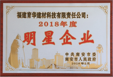 2018年明星企業(yè)