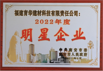 2022年度南安市明星企業(yè)